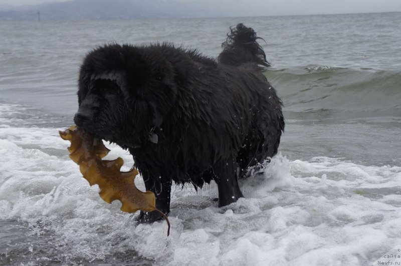 Фотография № 130439