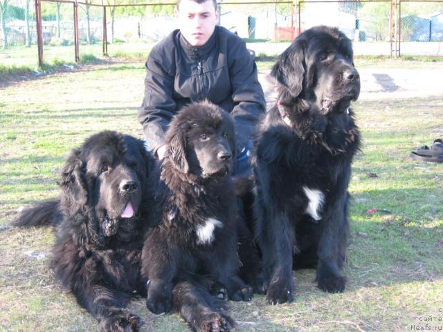 Фото: Ксения Дудина