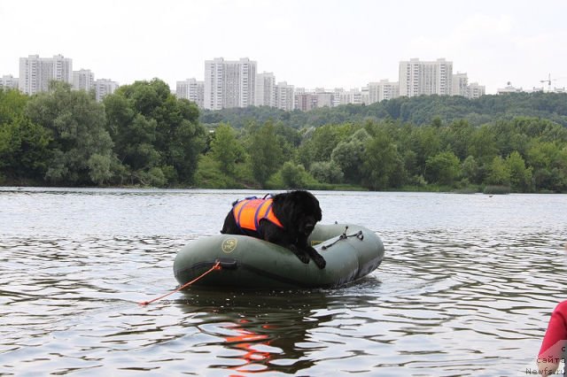 Фотография № 130463