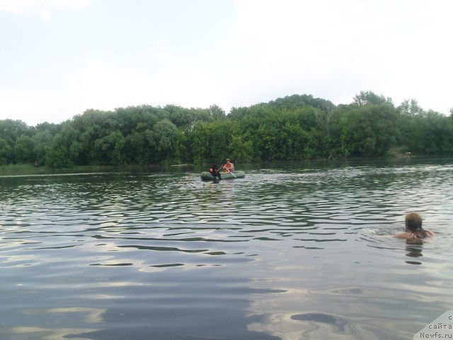 Фото: ньюфаундленд Топтыжка Герой Нашего Времени (Toptyzhka Geroy Nashego Vremeni)