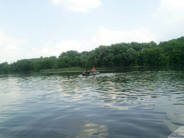 Фото: ньюфаундленд Топтыжка Герой Нашего Времени (Toptyzhka Geroy Nashego Vremeni)