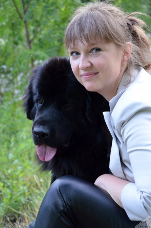 Фото: Ирина Павлова, ньюфаундленд Би Перфект Арабелла