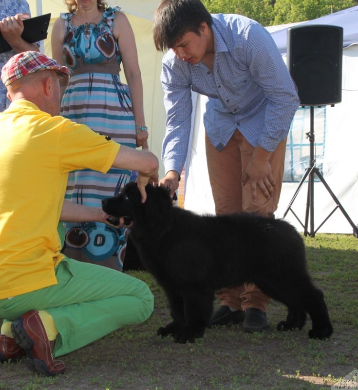 Фотография № 130486