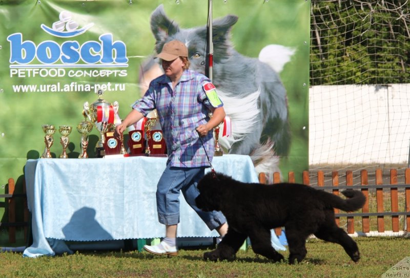 Фото: Обуш Шед Вильгельм Тиль