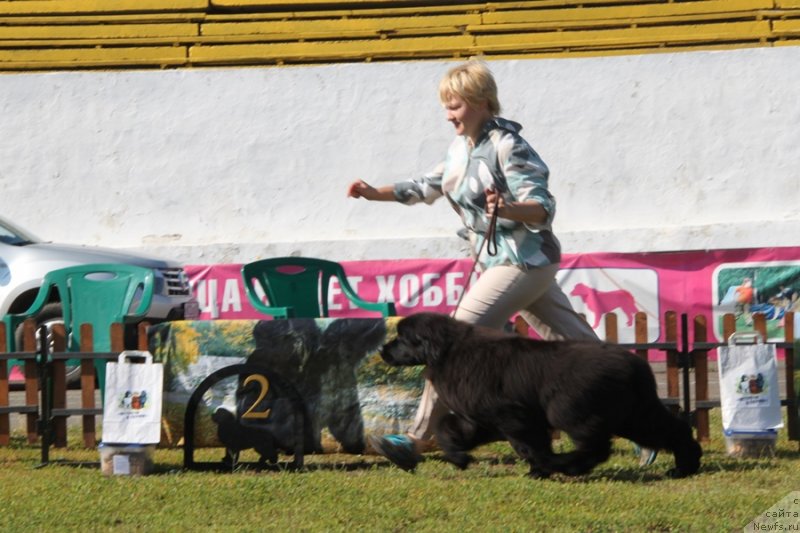 Фотография № 130500