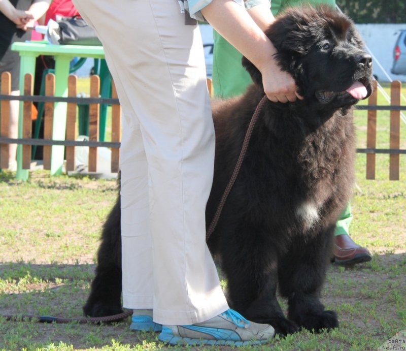 Фотография № 130502