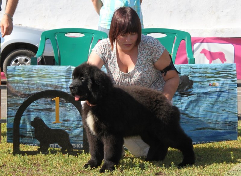 Фотография № 130504