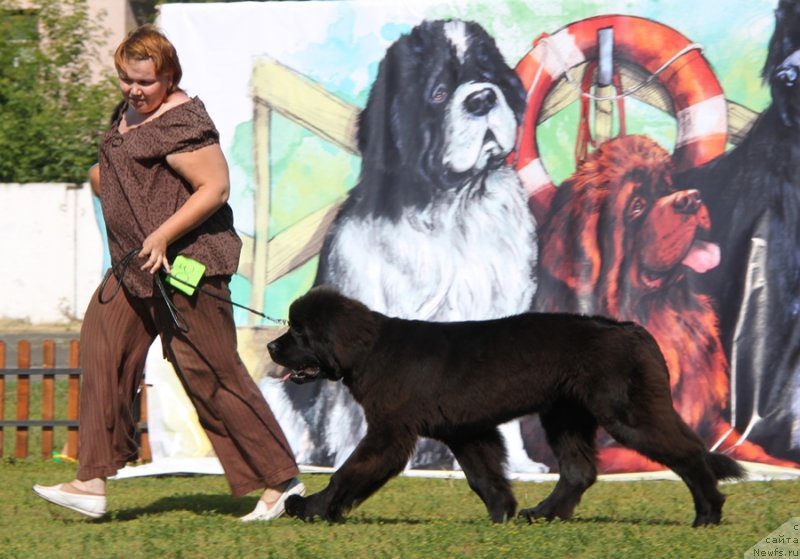 Фотография № 130508