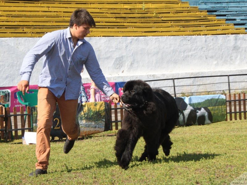 Фотография № 130515