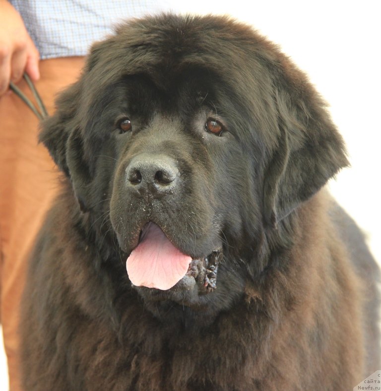 Фотография № 130517