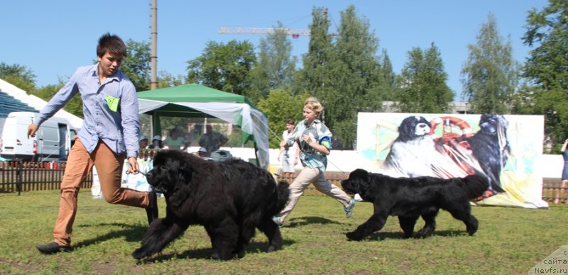 Фотография № 130519