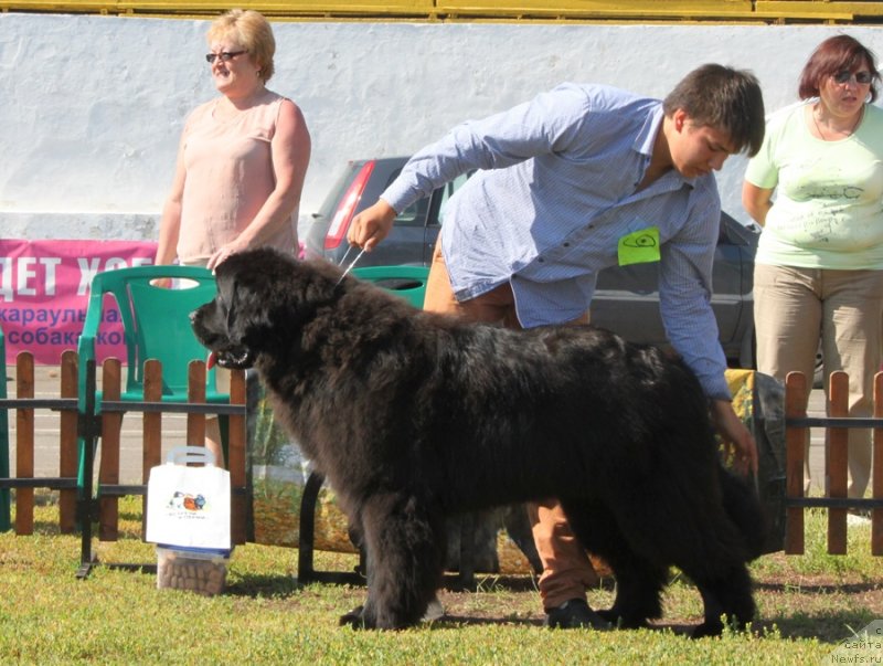 Фотография № 130520