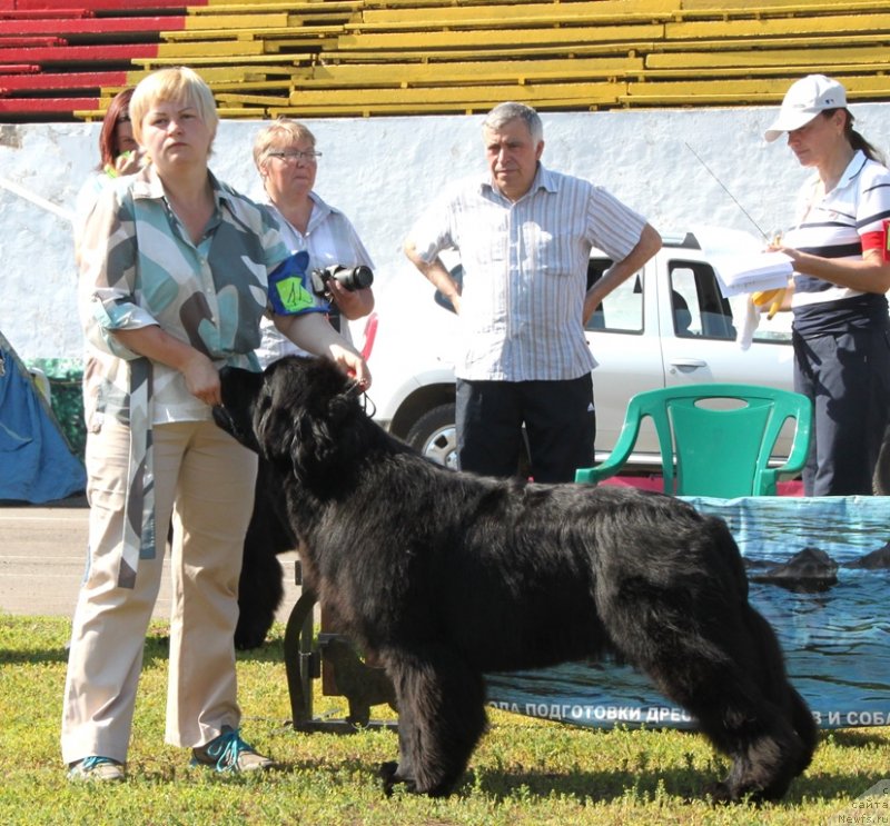 Фотография № 130521