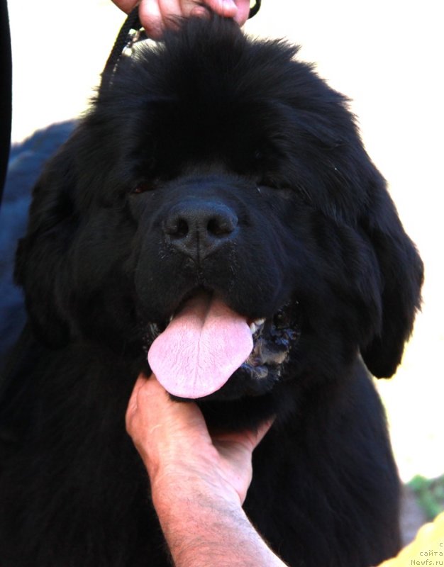 Фотография № 130525