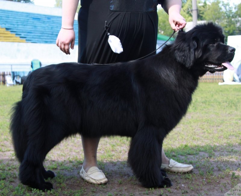 Фотография № 130526