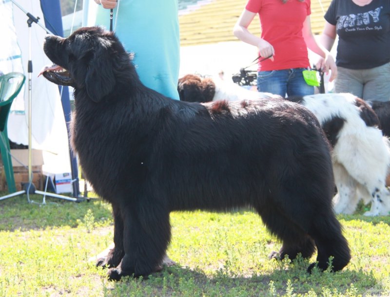 Фотография № 130530