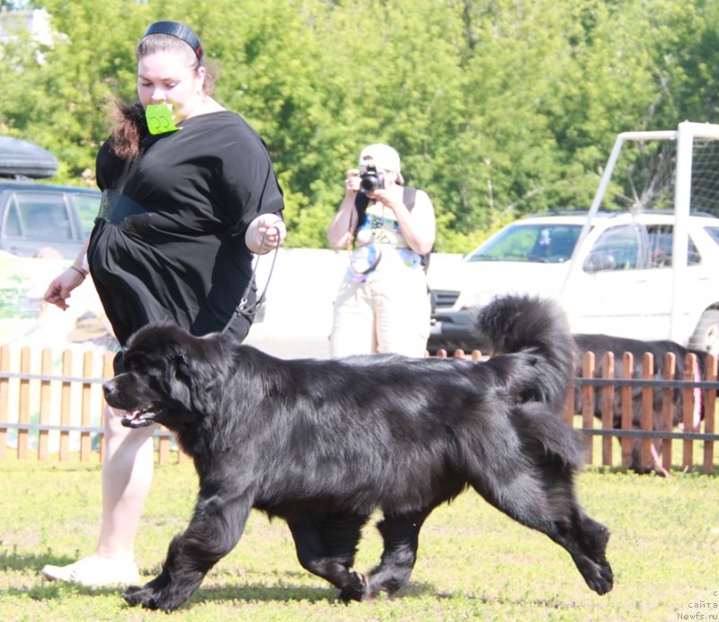 Фотография № 130531