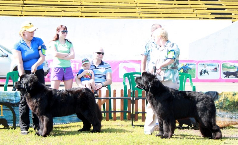 Фотография № 130533