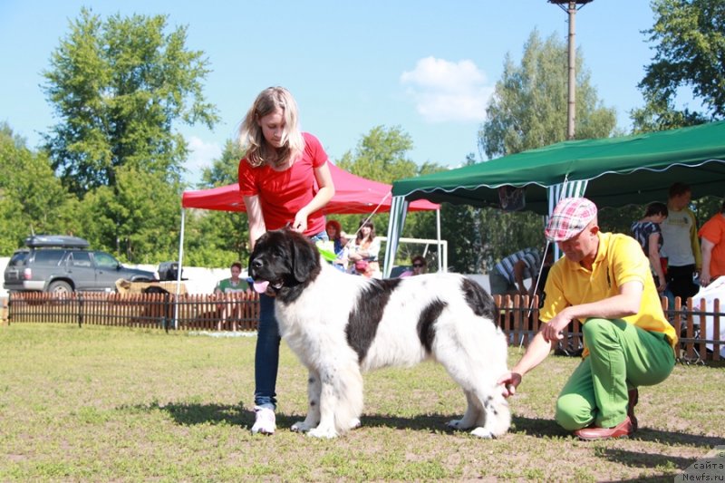 Фотография № 130535