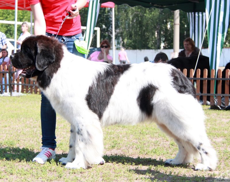 Фотография № 130537