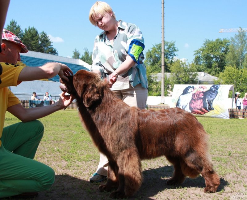 Фотография № 130547