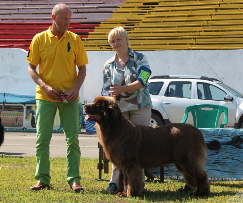 Фотография № 130550