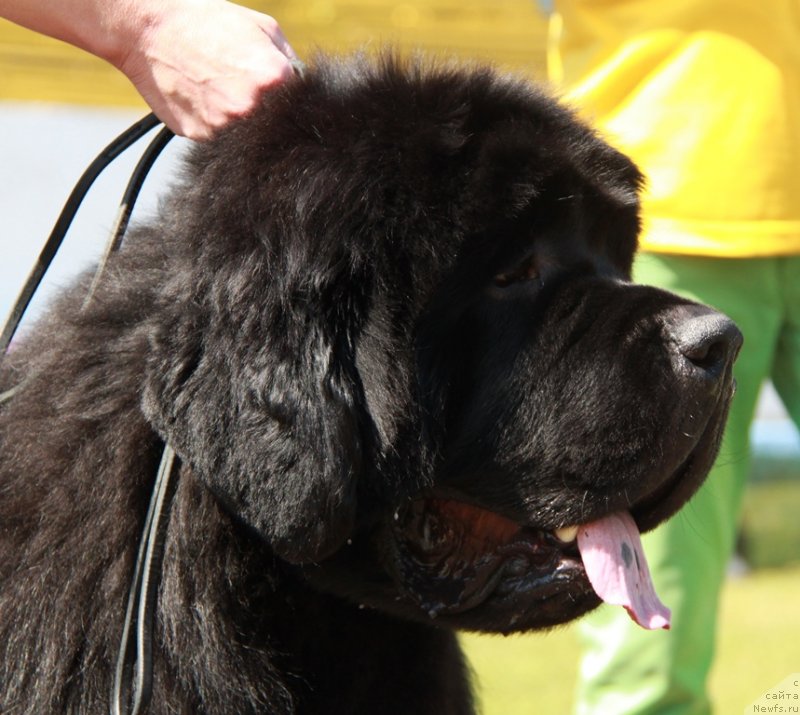 Фотография № 130553