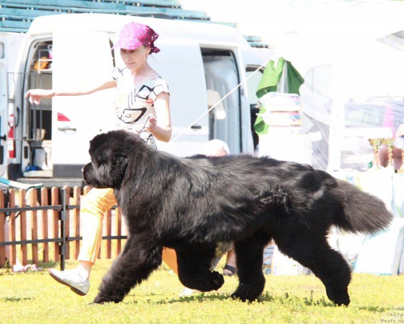 Фотография № 130554