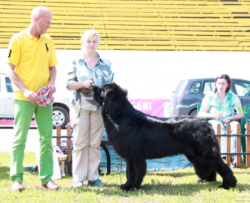 Фотография № 130561