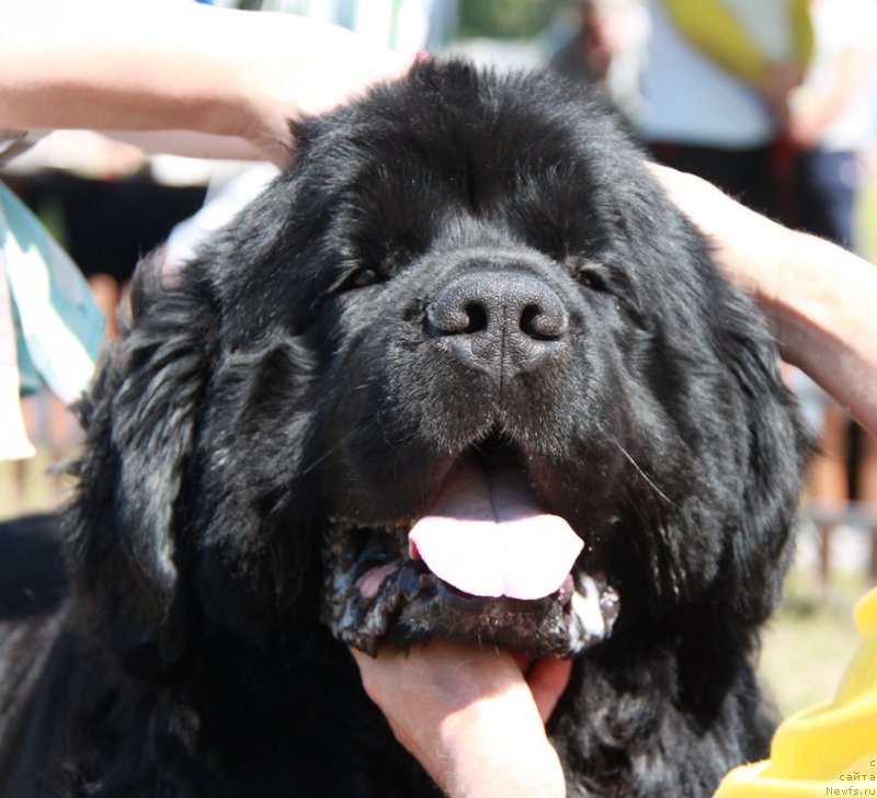 Фотография № 130562