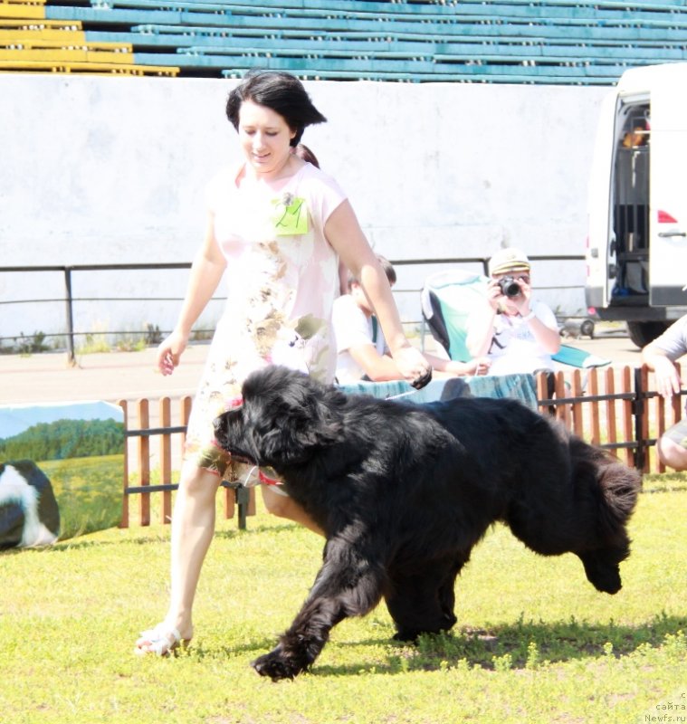 Фотография № 130568