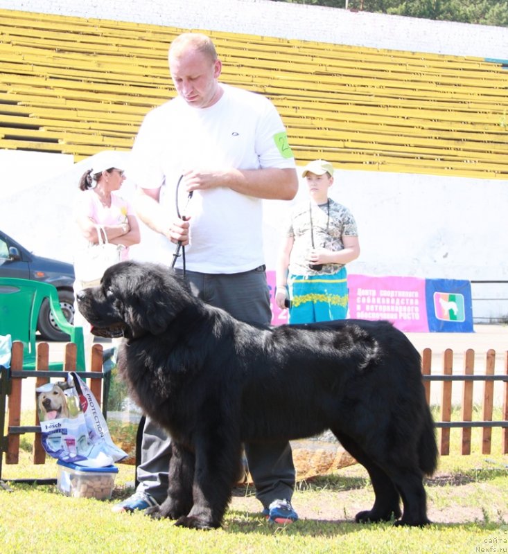 Фотография № 130573