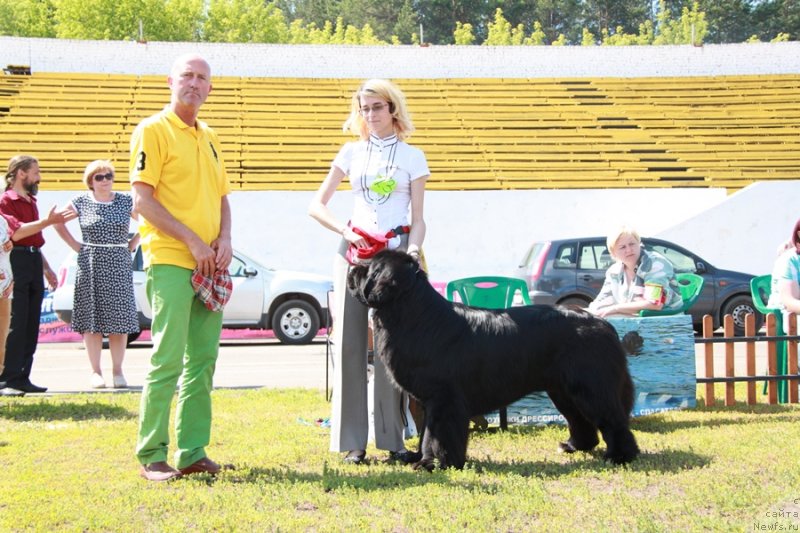 Фотография № 130578