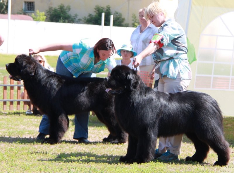 Фотография № 130582