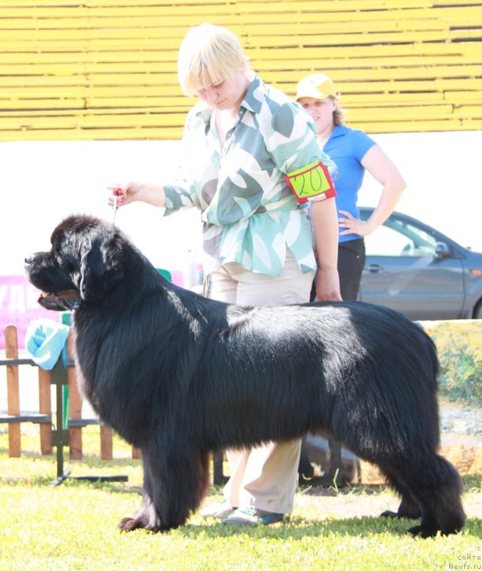 Фотография № 130586