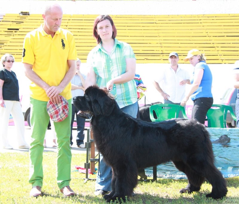 Фотография № 130587