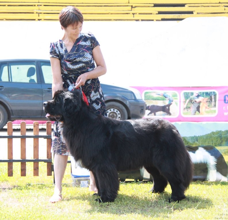 Фотография № 130615