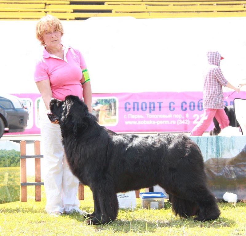 Фотография № 130616