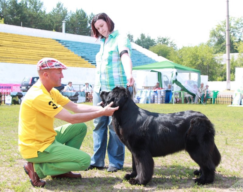 Фото: ньюфаундленд Акватория Келвин Тим Спирит