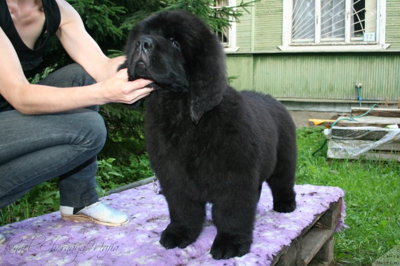 Фотография № 130626