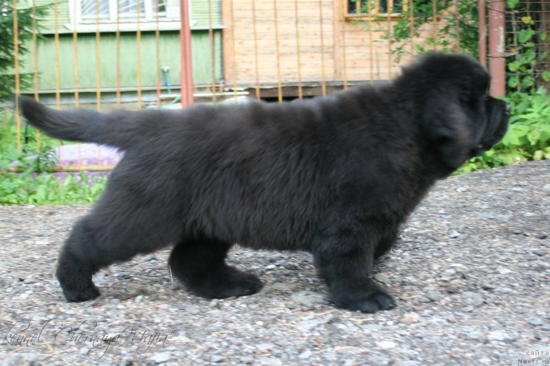 Фотография № 130628