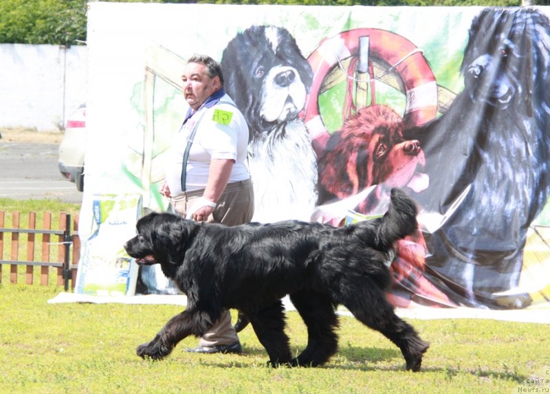 Фотография № 130637