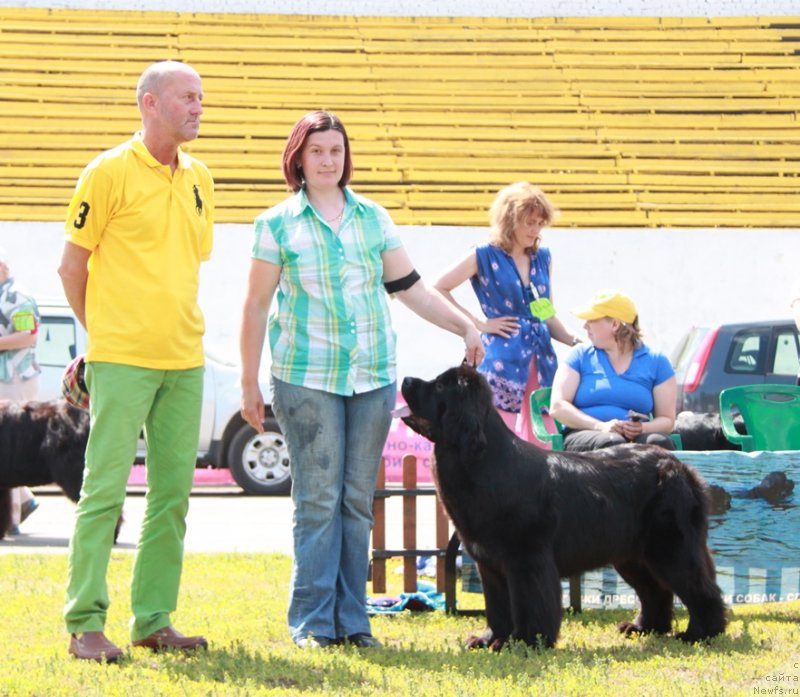 Фотография № 130639