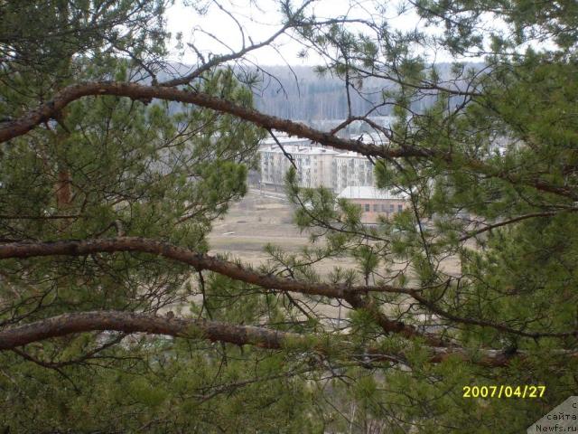 Фотография № 13064