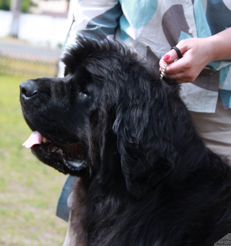 Фотография № 130641