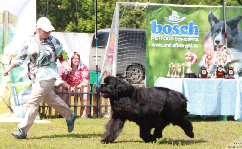 Фотография № 130643