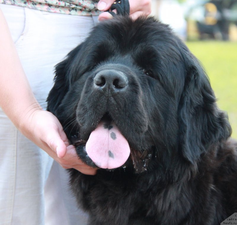 Фотография № 130647