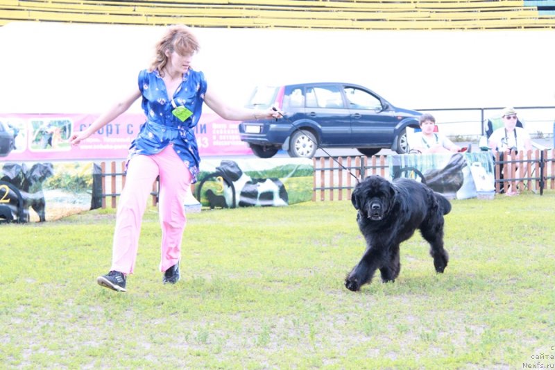 Фотография № 130648