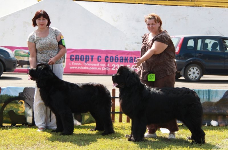 Фотография № 130654