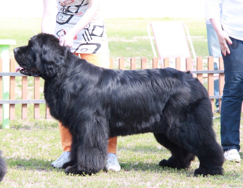 Фотография № 130657